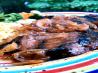 South African Steak With  Sweet Marinade Sauce. Recipe by Galley Wench