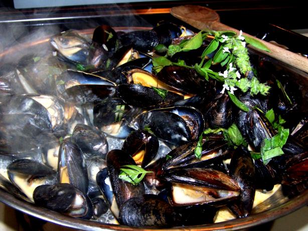 Thai  Steamed Mussels. Photo by Rita~