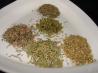Italian Herb Mix