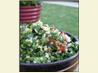 My Tabouleh. Recipe by Sage