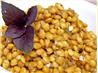 Lentil Salad (Yemiser Selatta)