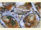 Oyster