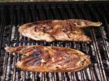Alabama BBQ Chicken and White Sauce (Grilled)