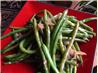 Haricots Verts With Warm Shallot Vinaigrette