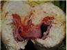 Romantic Stuffed Chicken Breasts A-Deux