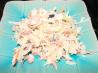 Lotsa Stuff Coleslaw. Recipe by *Parsley*
