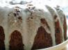 Best Lemon Blueberry Bundt Cake