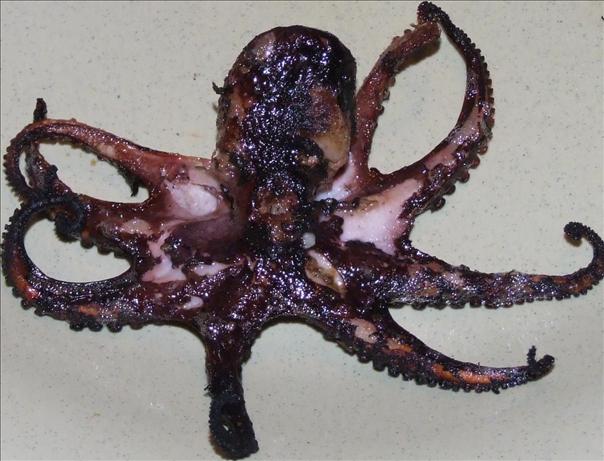 BBQ Garlic Octopus. Photo by Peter J