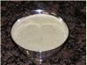 Lime Butter Sauce. Recipe by Bev