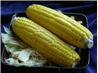 Oven Roasted Corn on the Cob