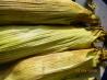 Oven Roasted Corn on the Cob