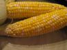 Oven Roasted Corn on the Cob