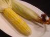 Oven Roasted Corn on the Cob
