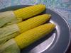 Oven Roasted Corn on the Cob