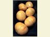 You've Got to Be Kidding Me Restaurant Rolls (or Bread)