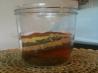 Kittencal's Dry Rub for Pork Ribs, Roasts or Chops. Recipe by Kittencalskitchen