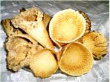 Waffle Cones or Bowls