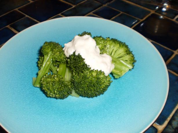 Broccoli With Horseradish Sauce. Photo by breezermom