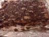 Magic Cookie Bars. Recipe by AliciaGski
