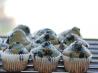 Whole Grain Blueberry-Ful Muffins
