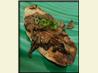 Creamed Mushrooms on Multigrain Toast. Recipe by ratherbeswimmin'