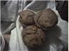 Vegan Banana Muffins