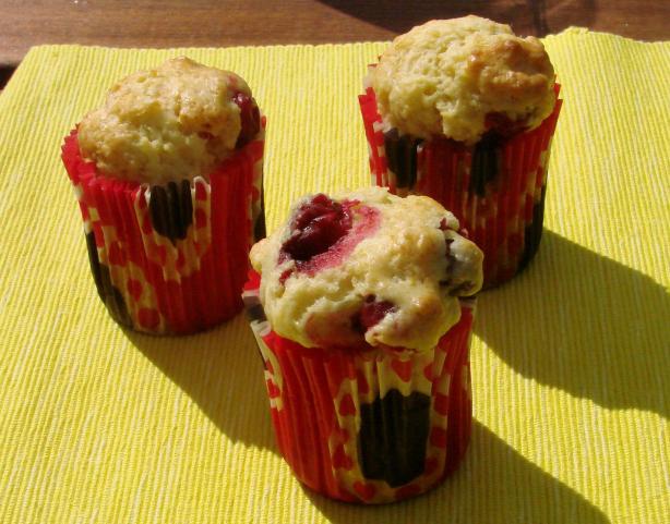 Orange-Cranberry Muffins for Diabetics. Photo by Boomette