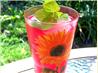 Hibiscus & Rose Hip Iced Tea With Cranberry Juice