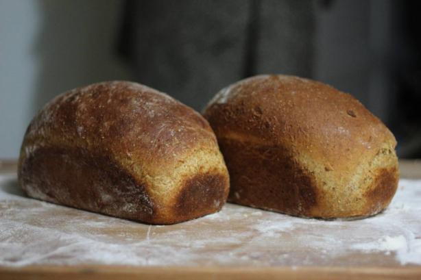 100% Whole Grain Wheat Bread. Photo by Jon Born