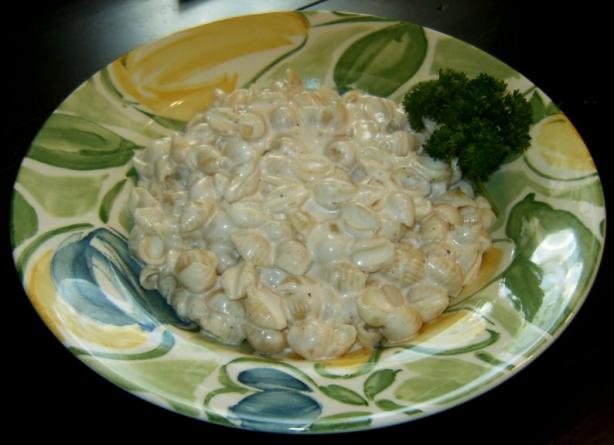 Cream Cheese Sauce. Photo by Nasseh