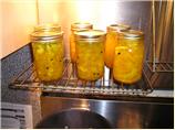 Watermelon Rind Bread and Butter Pickles