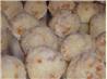 Apricot Balls