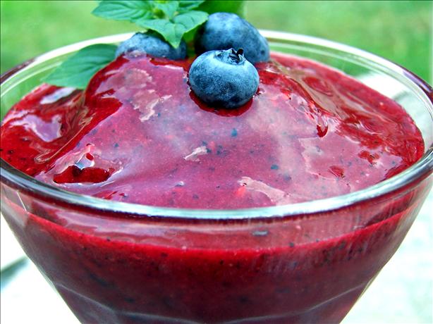Blueberry Sorbet. Photo by Rita~