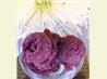 Blueberry Sorbet