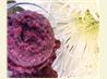 Blueberry Sorbet