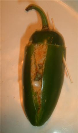 Franken-Peppers (Chili-Crumb Stuffed Jalapenos). Photo by Cynna