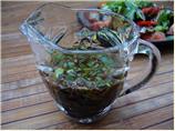 Asian Style Salad Dressing