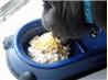 Vitamin-Rich Feline Meal (Cat Food). Recipe by Loves2Teach