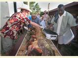 Earth Oven Roast Pig
