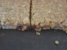 Oatmeal Cookie Brittle. Recipe by Kittencalskitchen