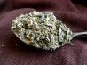 Herbes De Provence