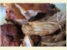 Crock Pot - Pulled Pork. Recipe by Brenda.