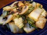 Chow Chow Bok Choy