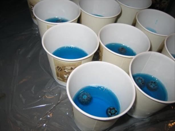 Base Jello Shots Recipe With Fruit Floaters. Photo by Demandy