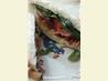BLT"s Extraordinaire