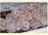 Coconut Chocolate Truffles