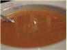 Carrot and Ginger Soup. Recipe by Jane Gib