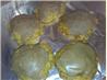 Best Pumpkin Cookies