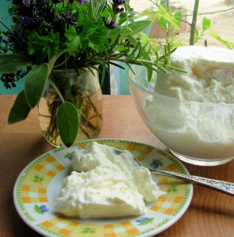 Yoghurt Cheese (Labna). Photo by French Tart