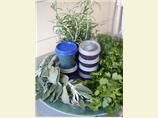 Herbes de Provence